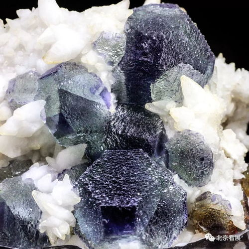 國內(nèi)頂級礦物晶體首次展出，彰顯科學(xué)價值與藝術(shù)魅力